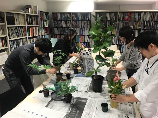 植え替え